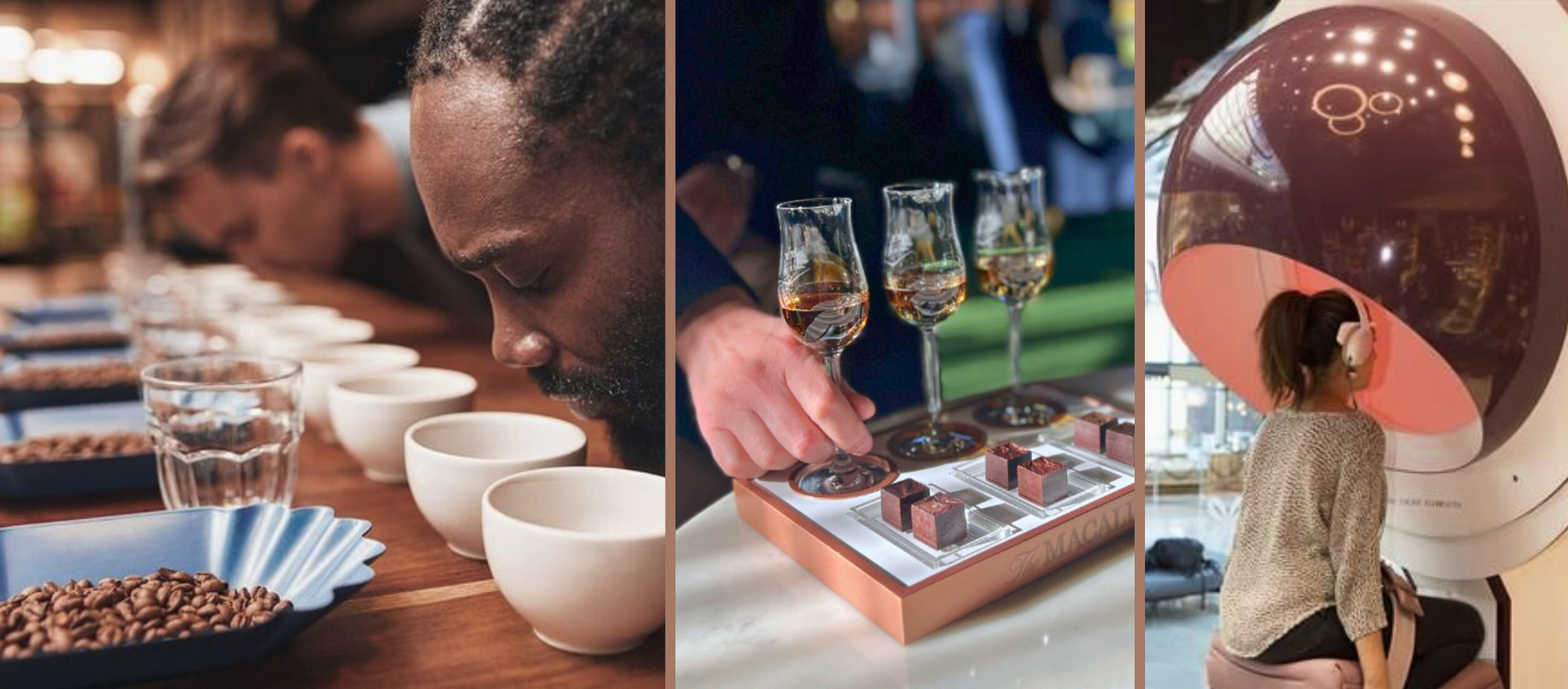 Aromatic Coffee Tasting Whiskey and Chocolate Flavor Pairing Immersive Multisensory Tasting Experience