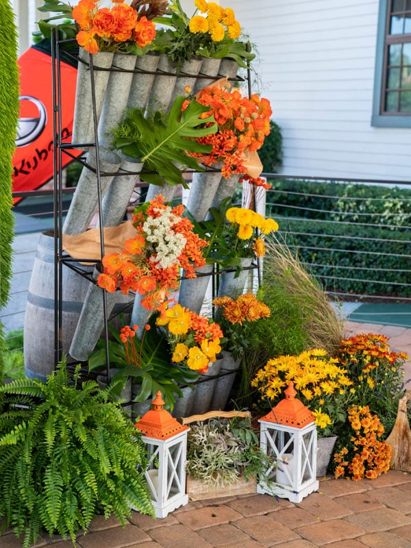 best-in-class all week long 3