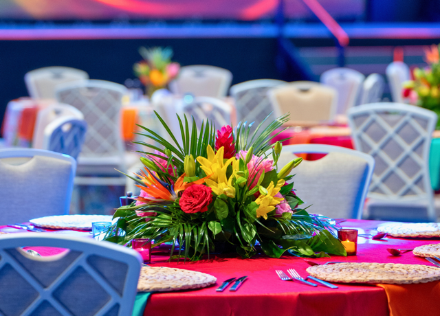 Island Time Program Planning 3